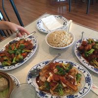 Beef & broccoli, vegetable chow mein, General Tso's chicken, and dumplings at Harmony Vegetarian in Chamblee