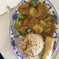 Beef Curry with spring roll  at Harmony Vegetarian in Chamblee