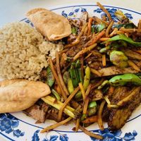 Spicy Shredded Pork with brown rice and curry pockets at Harmony Vegetarian in Chamblee