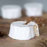 Cheese  at Pepper & Ginny - Vegane Veinkost in Vienna