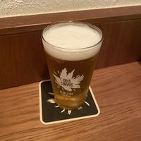 Pilsner locale  at Dallas Burger Joint in Lisbon