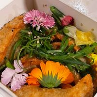 Jumbo crispy vegan gyoza at The Yasai - Convoy in San Diego