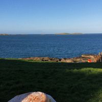 vegan spicy chicken burger at Infinity Fish Bar & Grill in Portrush