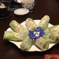 特製涼皮春捲 at Su Su House 素宿之家 in Kanazawa