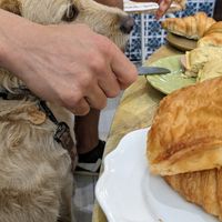  at Cabane du 12 in Nice