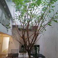 ❤️ at Broccoli Revolution - Charoenkrung in Bangkok