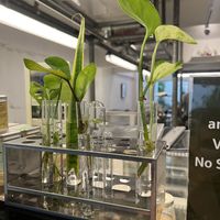   at Broccoli Revolution - Charoenkrung in Bangkok