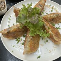 Gyoza  at Broccoli Revolution - Charoenkrung in Bangkok