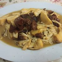 Mixed mushroom at Flying Vegetable in Pattaya