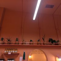 interior at Wild Souls in Athens