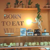 Part of the location at Wild Souls in Athens