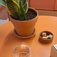  at Wild Souls in Athens