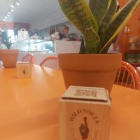  at Wild Souls in Athens