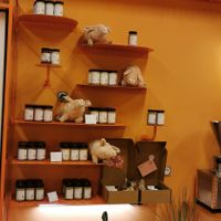 🐷 at Wild Souls in Athens