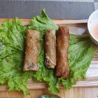 Three of the 6 springrolls at Buddha Belly in Ninh Binh