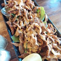 Shredded oyster mushroom calamari, don't miss it! at Red Lentil in Watertown