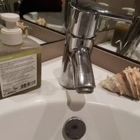 Vegan friendly soap at La Nòmada in Olot