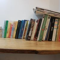 Vegan books at La Nòmada in Olot