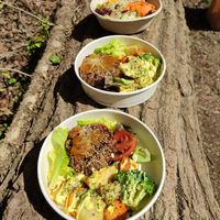Bean burgers with veggies and salad at La Nòmada in Olot