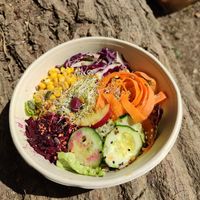 Salad with an amazing apple cider vinegar dressing at La Nòmada in Olot