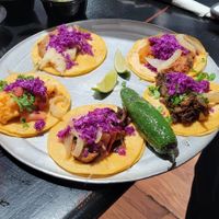  at Cascabel in Houston