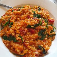 Vegan risotto at Dudley's in Olinda