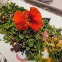  at Juice By J in Grand Rapids