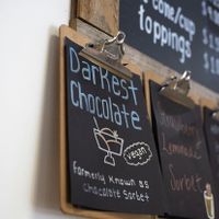 Darkest Chocolate (one of the vegan flavors)  at Lottie's Creamery in Danville