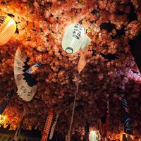 Gorgeous ceiling decor at Shinya Ramen House in Chicago