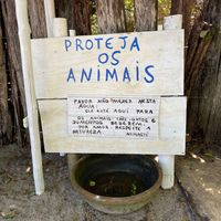 Cute and thoughtful “dog water bowl” for cats, dogs and donkeys in the city just outside the restaurant. at Canto da Duca Restaurante in Caraiva