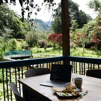 Espacio para trabajar at Lulo's Restaurante in Jardin