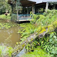 Dining area  at Lulo's Restaurante in Jardin