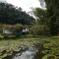  at Lulo's Restaurante in Jardin