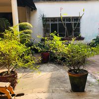 Garden next to café  at Chicach in Guatemala City