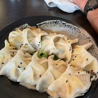 Pan fried dumplings  at Dumpling World in Hobart