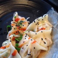 veg pan fried dumpling  at Dumpling World in Hobart