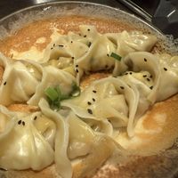 Pan fried dumplings  at Dumpling World in Hobart