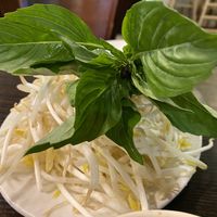 Fresh! at Boulder Pho in Boulder