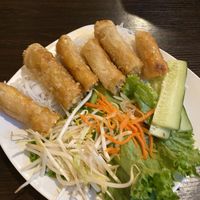 Vegan egg rolls at Boulder Pho in Boulder