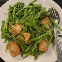 Morning glory with added tofu  at Sabaidee Pakse in Pakxe