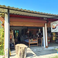  at Pancake 4 Paws in Ratnanagar