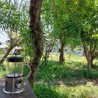 Garden seats at Pancake 4 Paws in Ratnanagar