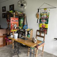   at Pancake 4 Paws in Ratnanagar