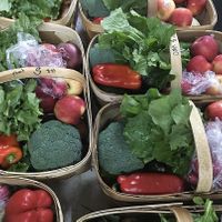 fresh veggies  at Opa Robby's Market in Athens
