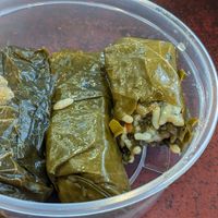  at LEBTAV in Annapolis