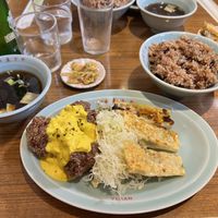 Mix lunch plate with enzyme rice  at Izakaya Masaka in Tokyo