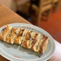 Gyoza  at Izakaya Masaka in Tokyo