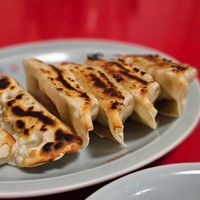 gyoza dumplings at Izakaya Masaka in Tokyo