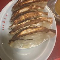 Gyoza  at Izakaya Masaka in Tokyo