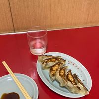 gyozas!  at Izakaya Masaka in Tokyo